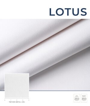 Deconix PVC Free Duvar Kağıdı Koleksiyonu